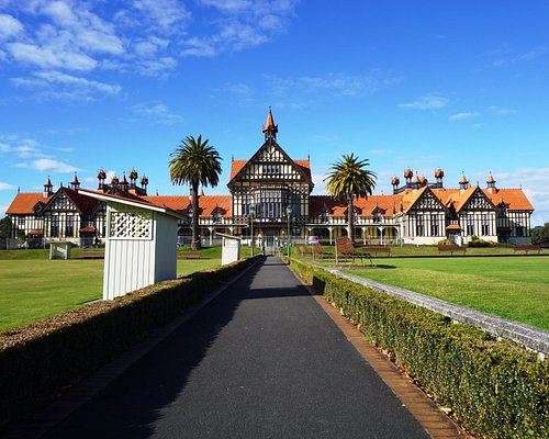 MDMA in Rotorua