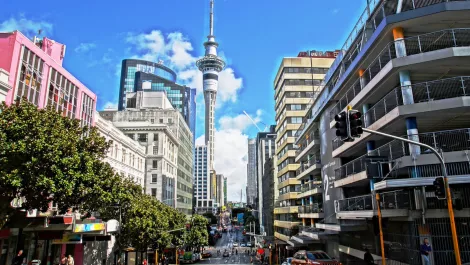 MDMA in Auckland