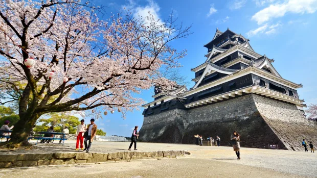 MDMA in Fukuoka