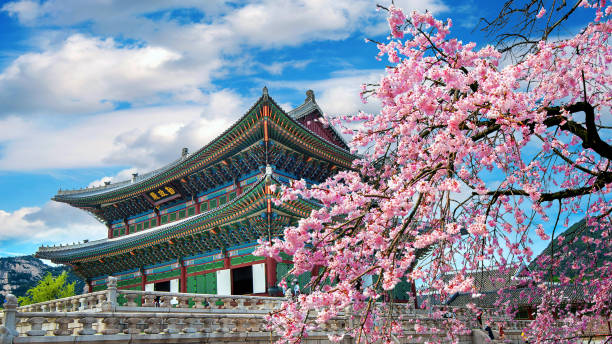 MDMA in Seoul