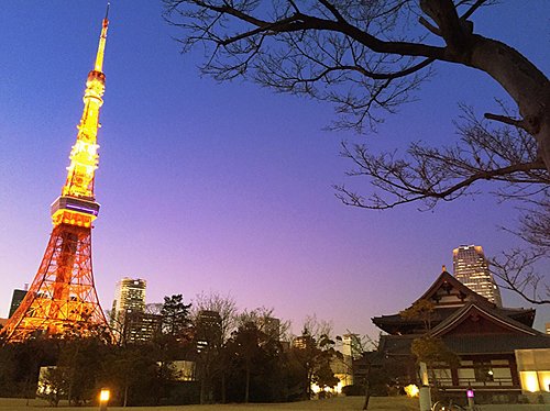 MDMA in Tokyo