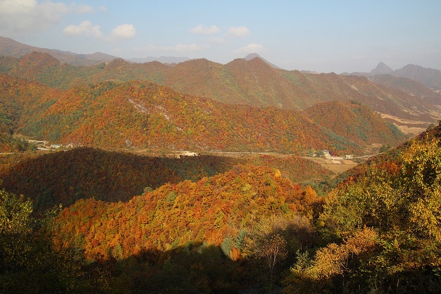 MDMA in Wonsan